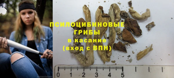 твердый Богданович