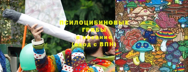 твердый Богданович