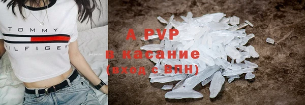 тгк Бородино