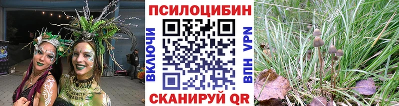 Галлюциногенные грибы прущие грибы  наркотики  Мичуринск 